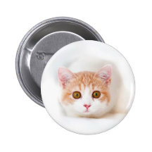 CATS PINS