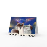 Cats Playing Piano