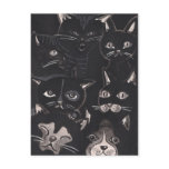Cats postcard