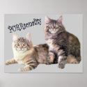 Cats Poster PURRsonality posters
