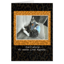 Cat's Pyjamas Cheer up card