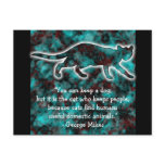 Cats & Quotes: Domesticated Human