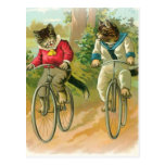 Cats Riding Bikes Post Card