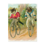 Cats Riding Bikes postcards