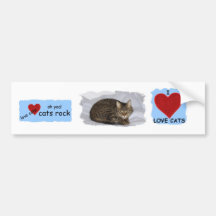 CATS ROCK BUMPER STICKERS