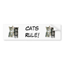 Cats Rule Bumper Sticker