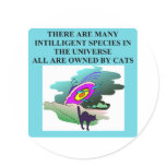 cats rule