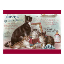 Cats Selling Cologne Victorian Trade Card Postcards