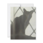 Cat's shadow in window invitations