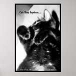Cats Sleep Anywhere posters