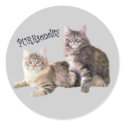Cats Sticker PURRSONALITY