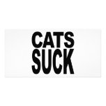 Cats Suck photo cards
