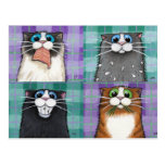 Cats Up To No Good Postcard