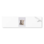 Cats Welcome bumper stickers