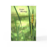 Cattail Pond Easter cards