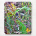 Cattail Spider mousepads