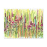 Cattails and Flowers in the Meadow Postcard