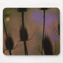 Cattails Gift Products Line Mousepad