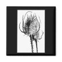 Cattails In Contrast Magnet