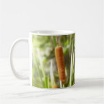 Cattails In The Summer Marsh Mugs