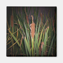 Cattails Magnet