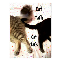CatTails Postcard