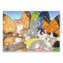 Catterfly Gathering cards