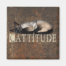 Cattitude Magnets