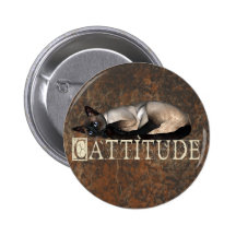 Cattitude Pin