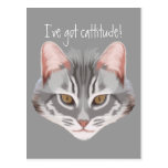 Cattitude Postcard