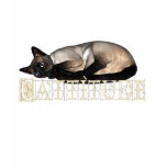 Cattitude t-shirts