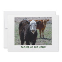 Cattle Calves - Western Shower Party