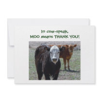 Cattle Calves - Western Thanks for Baby Gift