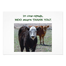 Cattle Calves - Western Thanks for Baby Gift Personalised Invitation