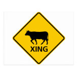 Cattle Crossing Highway Sign Post Cards