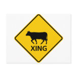 Cattle Crossing Highway Sign postcards