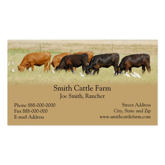 Cattle Dairy Farmer Business Card