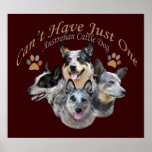 Cattle Dog Can't Have Just One poster