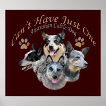 Cattle Dog Can't Have Just One poster