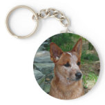 Cattle Dog keychains