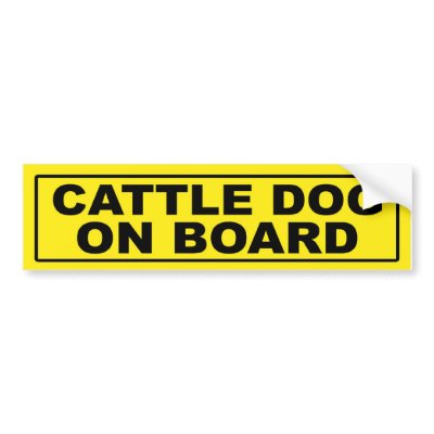 Cattle Dog on Board Bumper Sticker by RayBarnsbury