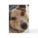 Cattle Dog Pup Waits for Santa - Western Christmas cards