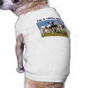 Cattle Dog T-Shirt pet clothing