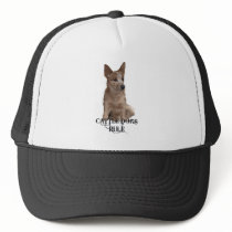Cattle Dogs Rule Mesh Hats