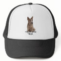 Cattle Dogs Rule hats