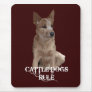 Cattle Dogs Rule Mouse Mat