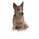 Cattle Dogs Rule t-shirts