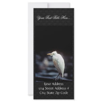 Cattle egret personalized rack card