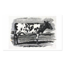 Cattle from 19th century engraving rectangular stickers