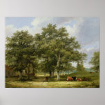 Cattle Grazing